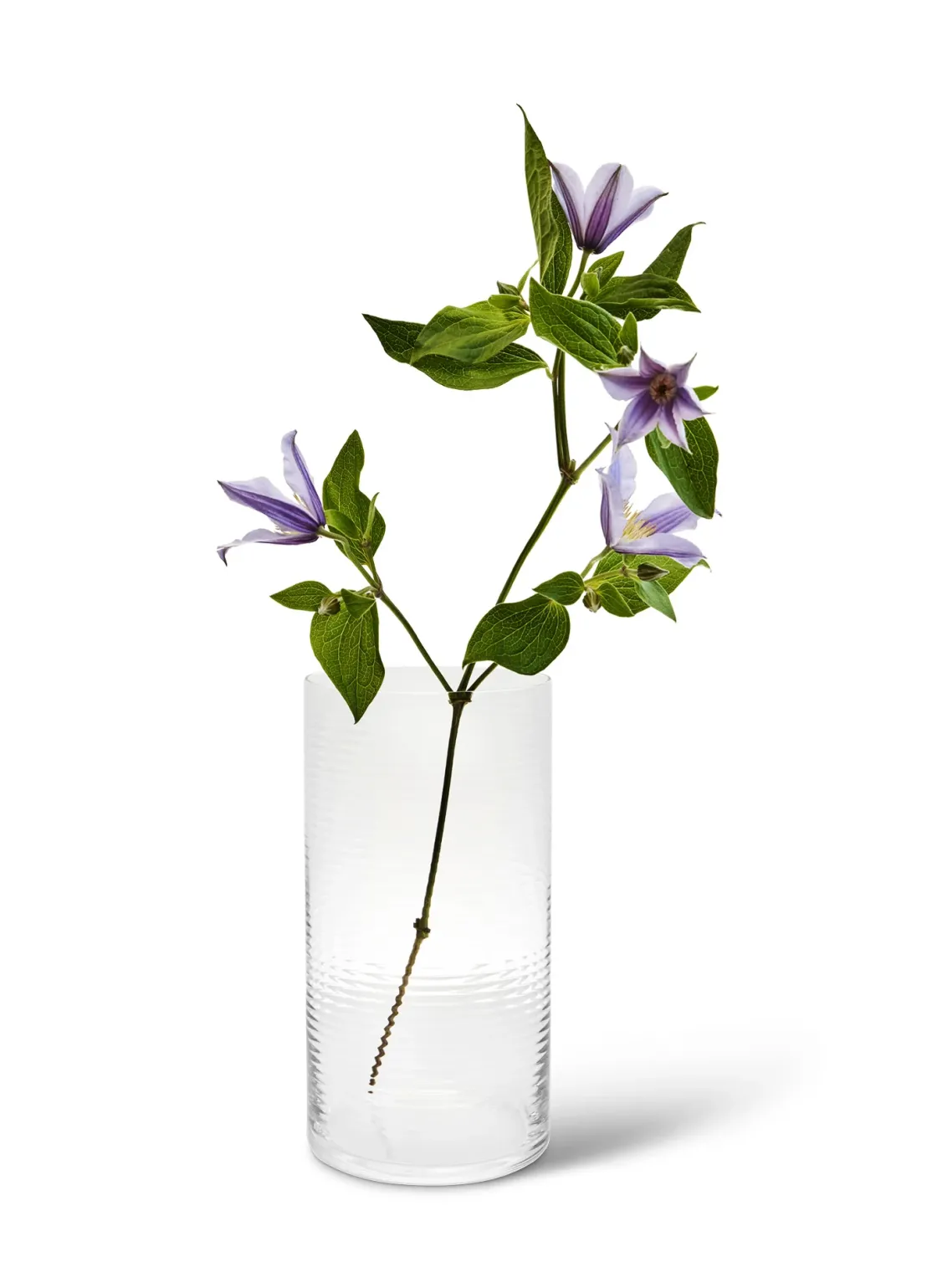 Spring Copenhagen Laine (cylinderformet vase)> Stuen